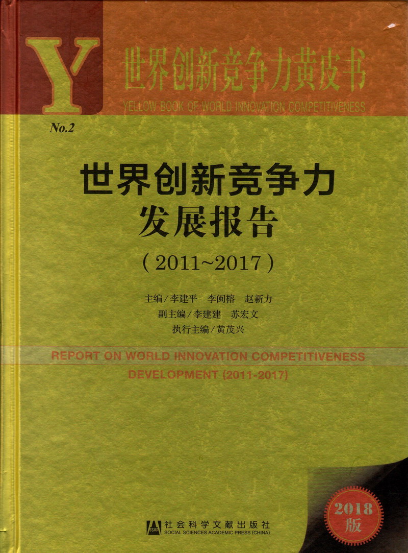 啊啊艹逼视频世界创新竞争力发展报告（2011-2017）